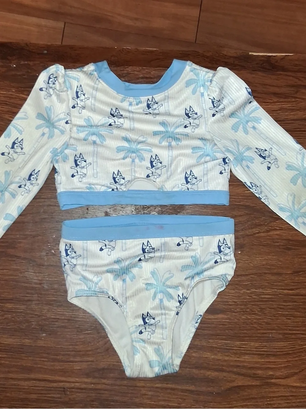 Kids Two-Piece Long Sleeve Swim Set in Light Blue
